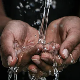 Foto: © mrjn photography, unsplash